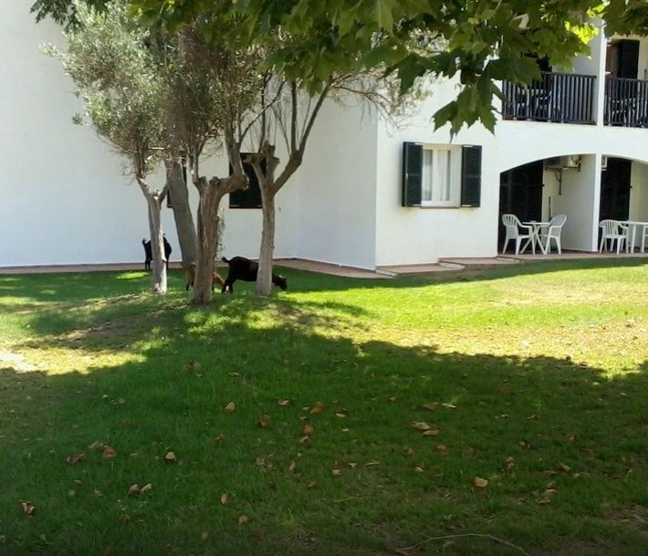 Seth Sa Mirada Apart otel Arenal d'en Castell Dış mekan fotoğraf